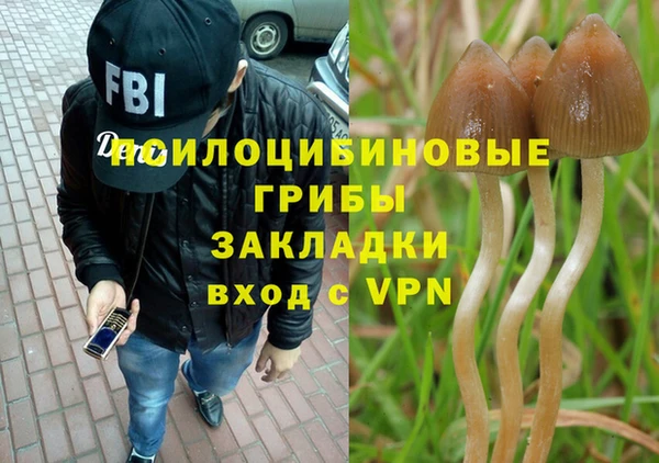 Альфа ПВП Алзамай