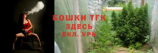 ешки Алексеевка