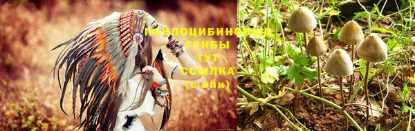 ешки Алексеевка