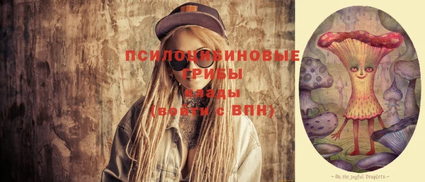 Альфа ПВП Алзамай