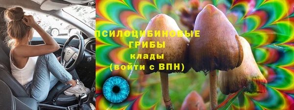 ешки Алексеевка